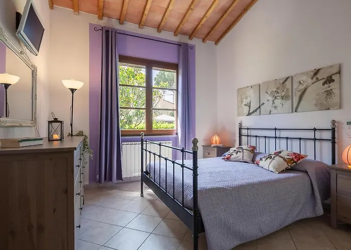 Paradiso Feriehus Cecina (Livorno)